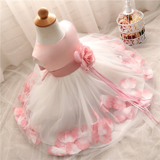 Little Baby Girl Birthday Dress